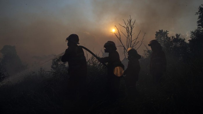 Petugas Gabungan Padamkan Kebakaran Lahan di Ogan Ilir
