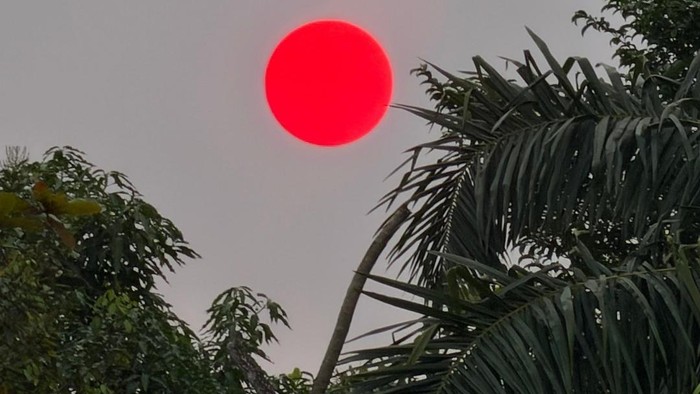 heboh-matahari-merah-pekat-di-palangka-raya-1787305988582_169